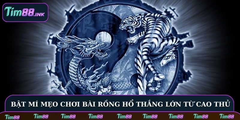 Bật mí mẹo chơi bài Rồng Hổ thắng lớn từ cao thủ