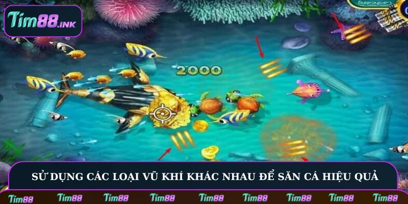 Sử dụng các loại vũ khí khác nhau để săn cá hiệu quả