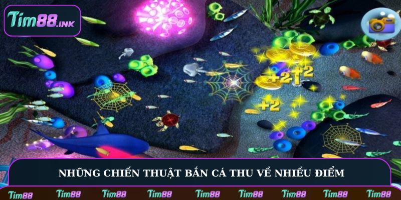 Những chiến thuật bắn cá thu về nhiều điểm