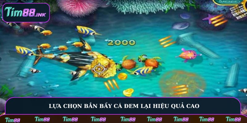 Lựa chọn bắn bầy cá đem lại hiệu quả cao