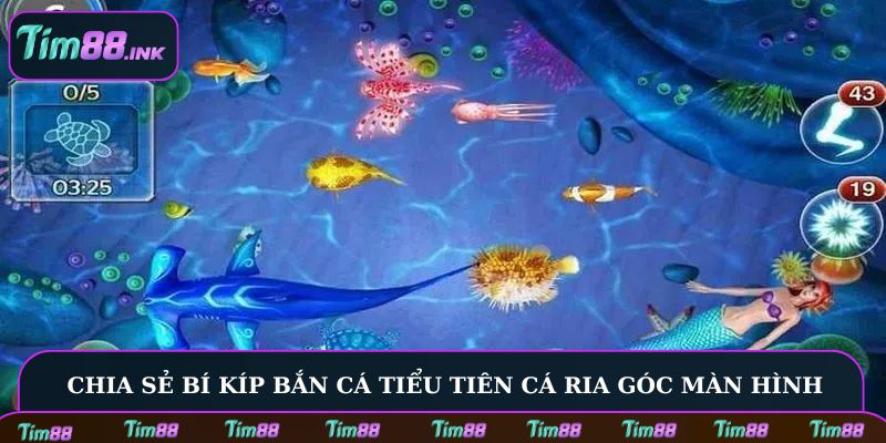 Chia sẻ bí kíp bắn cá Tiểu Tiên Cá ria góc màn hình