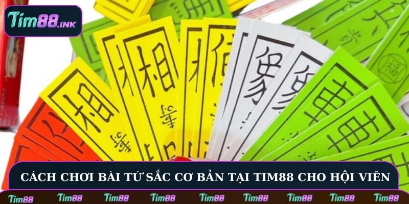 Cách chơi bài Tứ Sắc cơ bản tại Tim88 cho hội viên