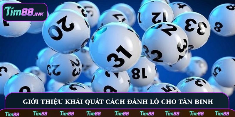 Giới thiệu khái quát cách đánh lô cho tân binh