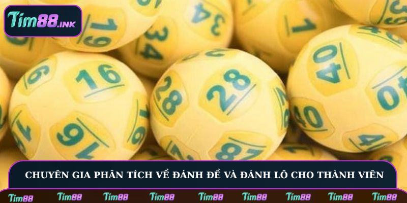 Chuyên gia phân tích về đánh đề và đánh lô cho thành viên