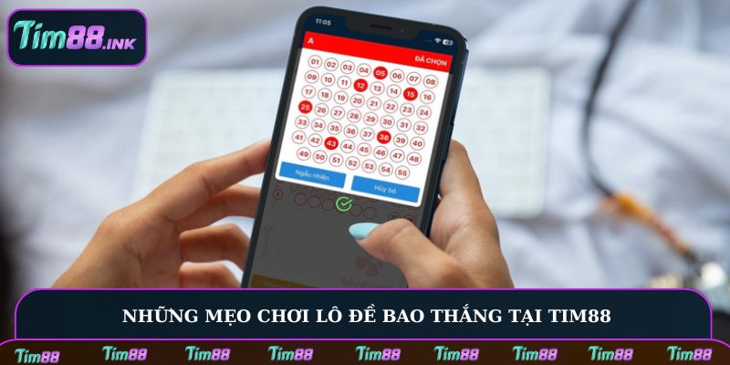 Những mẹo chơi lô đề bao thắng tại Tim88