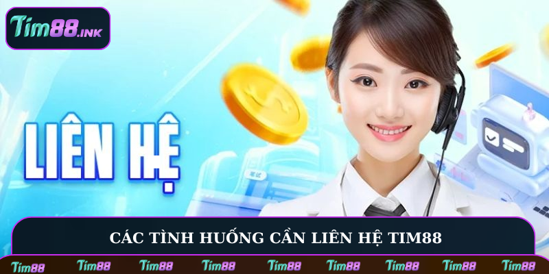 Liên hệ Tim88 sẽ giúp bạn hiểu rõ điều khoản hơn