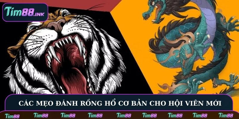 Các mẹo đánh Rồng Hổ cơ bản cho hội viên mới