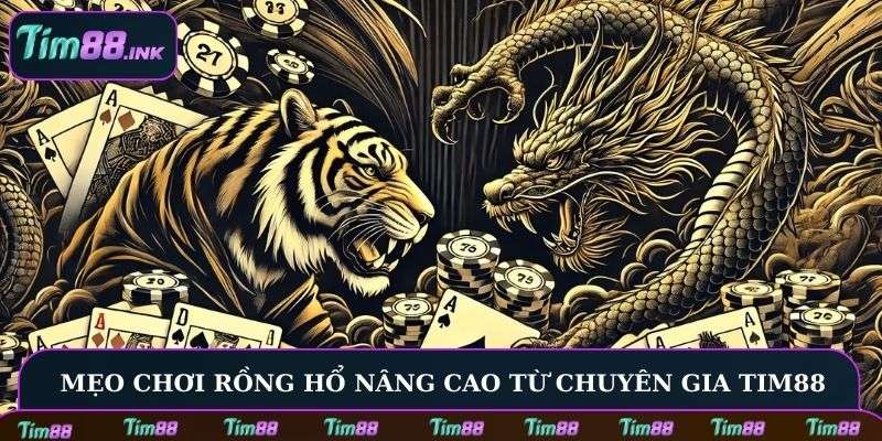 Mẹo chơi Rồng Hổ nâng cao từ chuyên gia Tim88