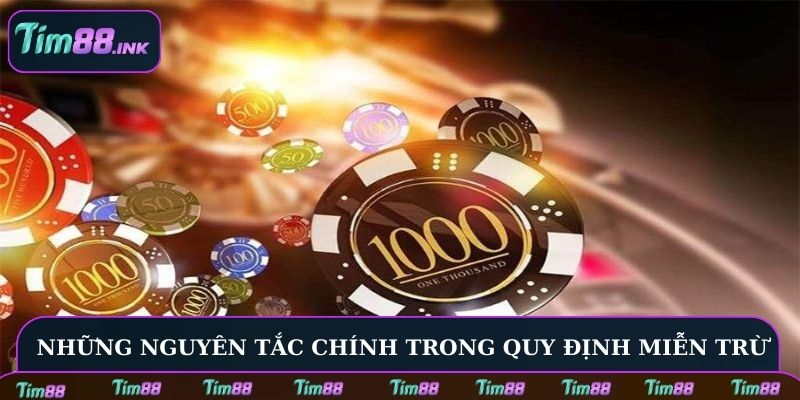 Những nguyên tắc chính trong quy định miễn trừ tại nhà cái