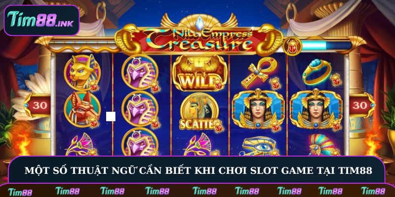 Một số thuật ngữ cần biết khi chơi Slot game tại Tim88