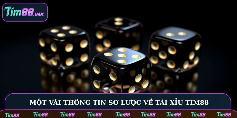 Một vài thông tin sơ lược về Tài Xỉu Tim88
