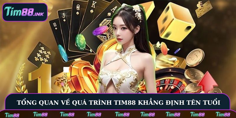 Tổng quan về quá trình Tim88 khẳng định tên tuổi